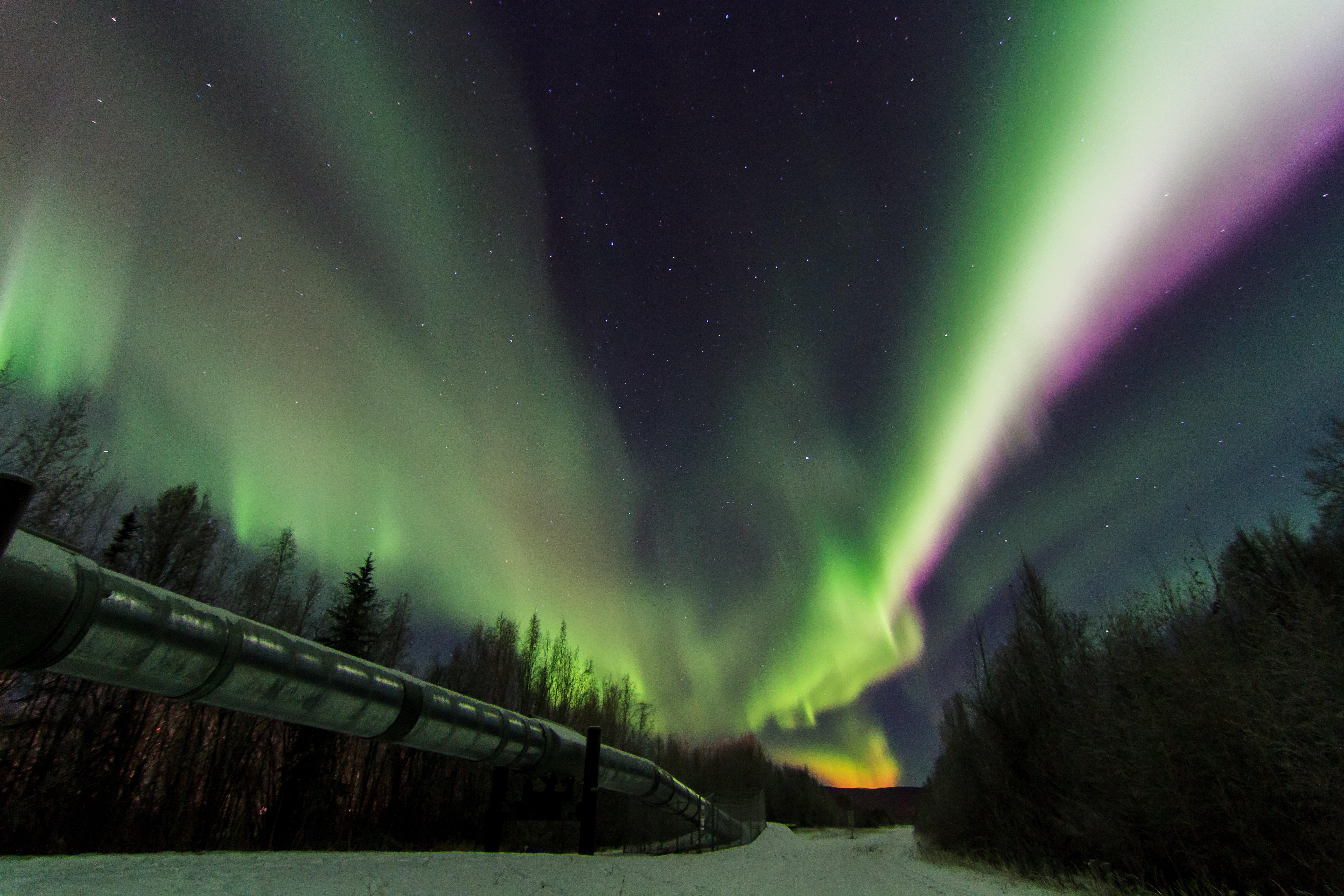 Staybridge Suites Anchorage By Ihg Esterno foto